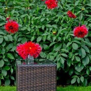 Bello Giardino SM.002.001 STOLIK