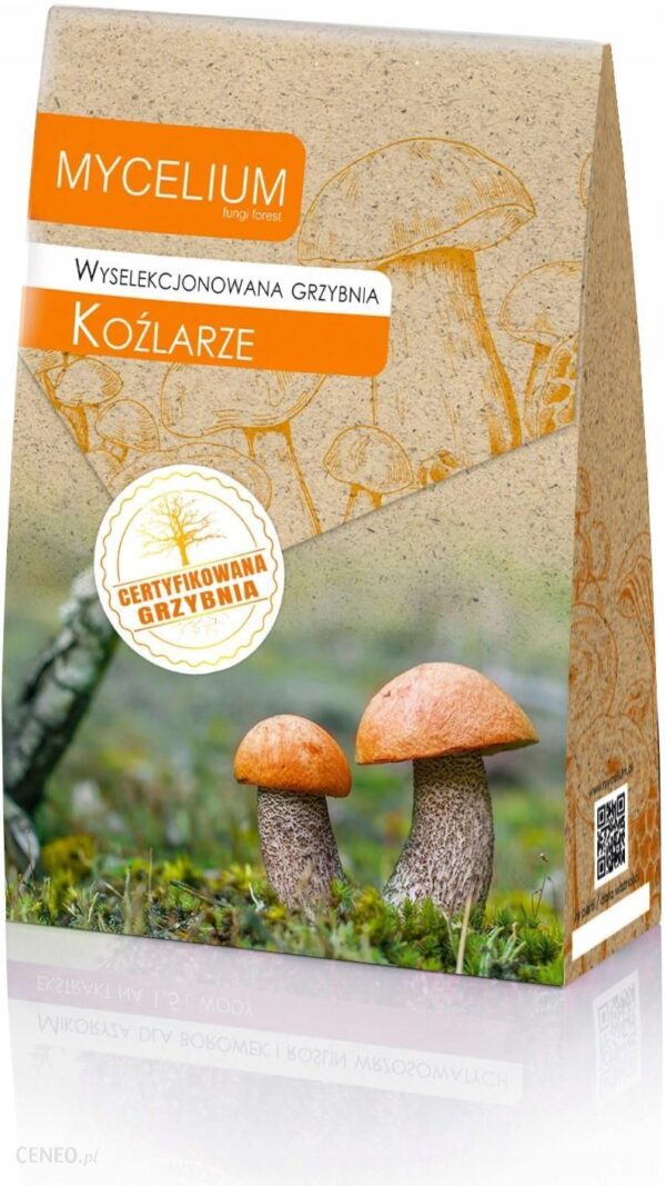 CERTYFIKOWANA GRZYBNIA KOŹLARZE