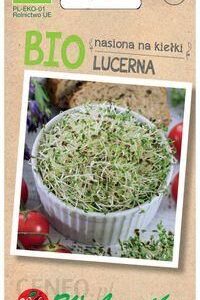 Legutko lucerna Bio