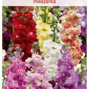 Lewkonia Letnia Mieszanka Nasiona Tradycyjne 0.5 G