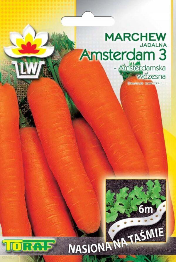 Marchew Amsteram 3 - Nasiona na Taśmie 6m