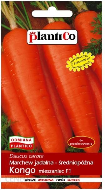 i-marchew-jadalna-kongo-5g-plantico Marchew Jadalna Kongo 5G Plantico
