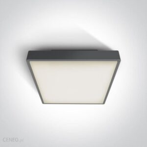 One Light Plafon Kwadratowy 30cm Na Zewnątrz Warkiza 67282Ea/An Ip65