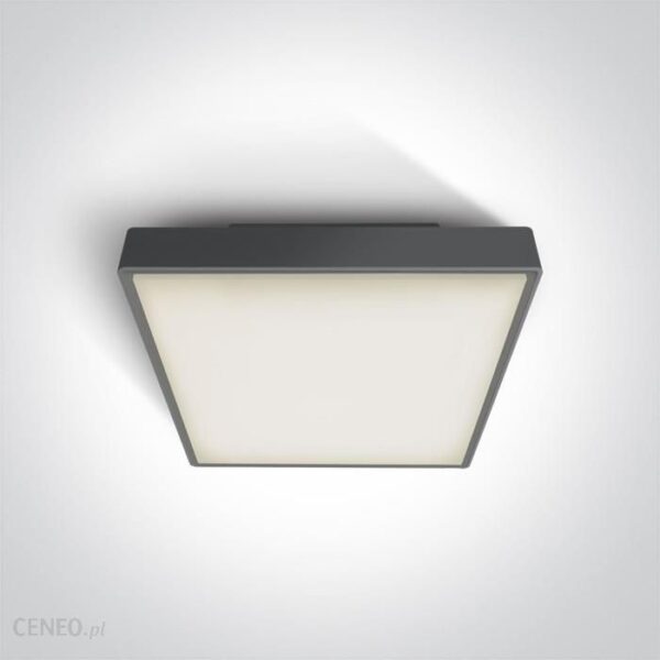 One Light Plafon Kwadratowy 30cm Na Zewnątrz Warkiza 67282Ea/An Ip65