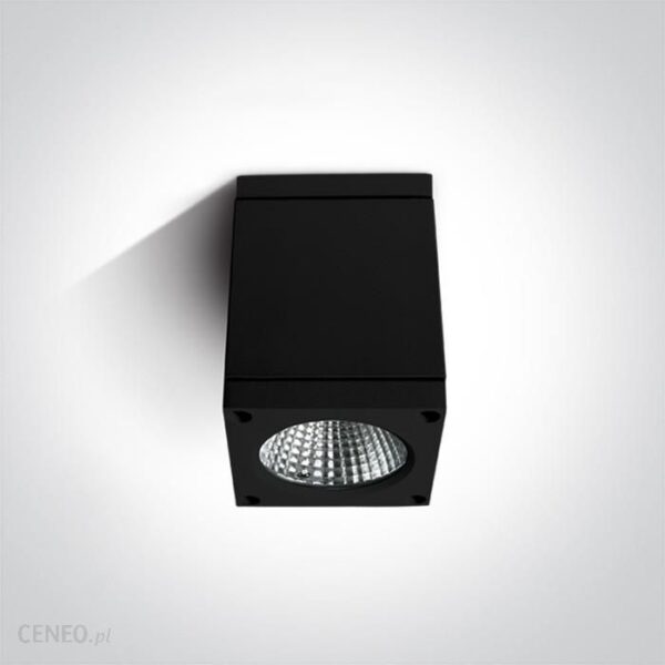 OneLight 67138DBW