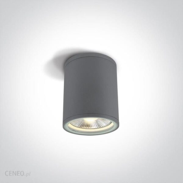 ONELIGHT OPRAWA ZEWNĘTRZNA SUFITOWA IP54 STROMI S 1 PUNKTOWA SZARA 67132C/G