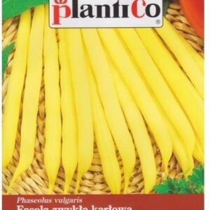 PlantiCo Fasola szparagowa karłowa ZŁOTA SAXA 1kg