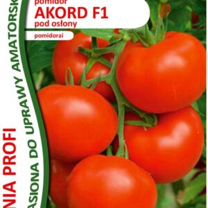 Profi Pomidor Akord F1 30 Nasion