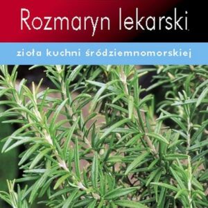 Rozmaryn Lekarski Nd11850
